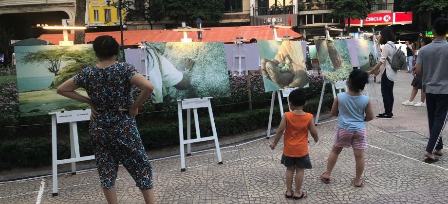Embajada de Colombia en Vietnam presentó la exposición “La Línea Negra” de Coque Gamboa 